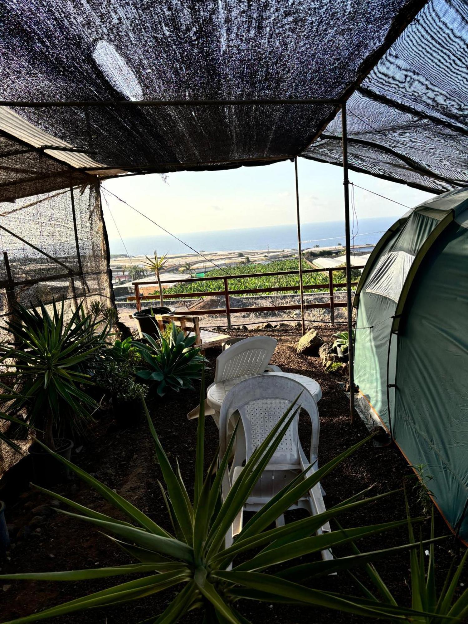 Camping Invernaderito Tejina Dış mekan fotoğraf
