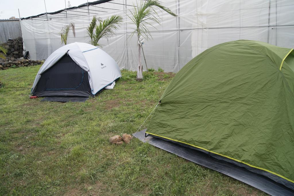 Camping Invernaderito Tejina Dış mekan fotoğraf